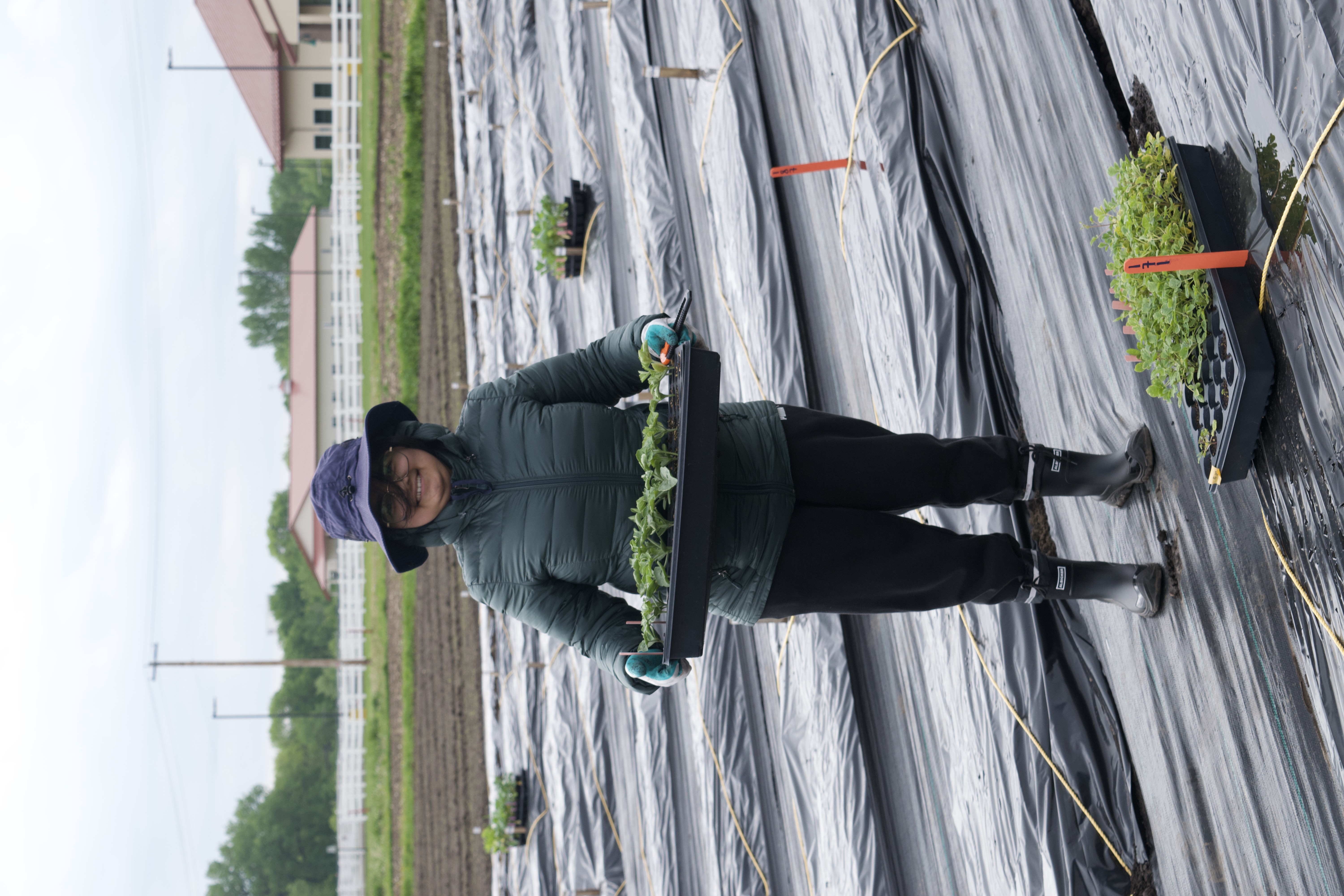 Someone holding plant tray