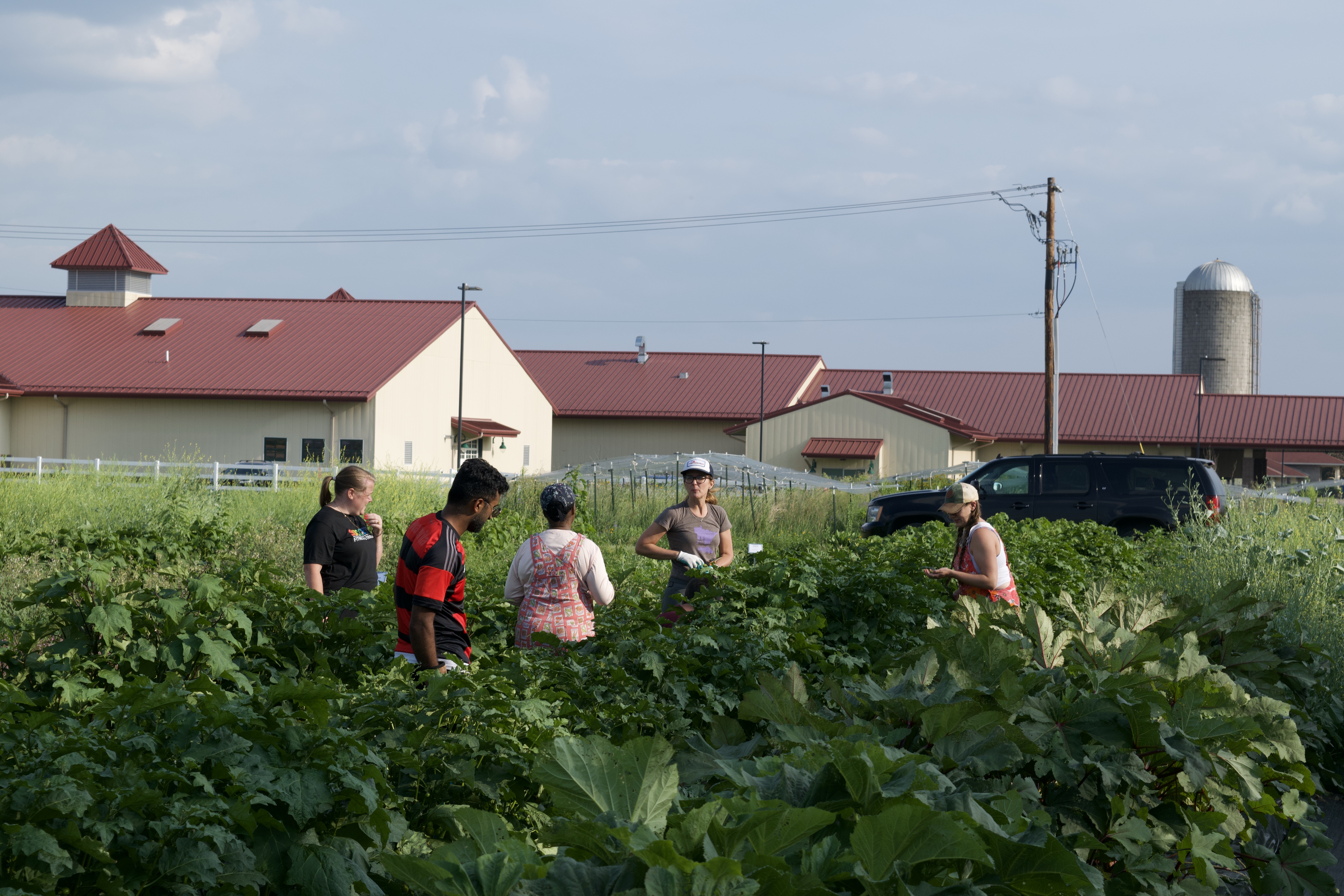 People in field