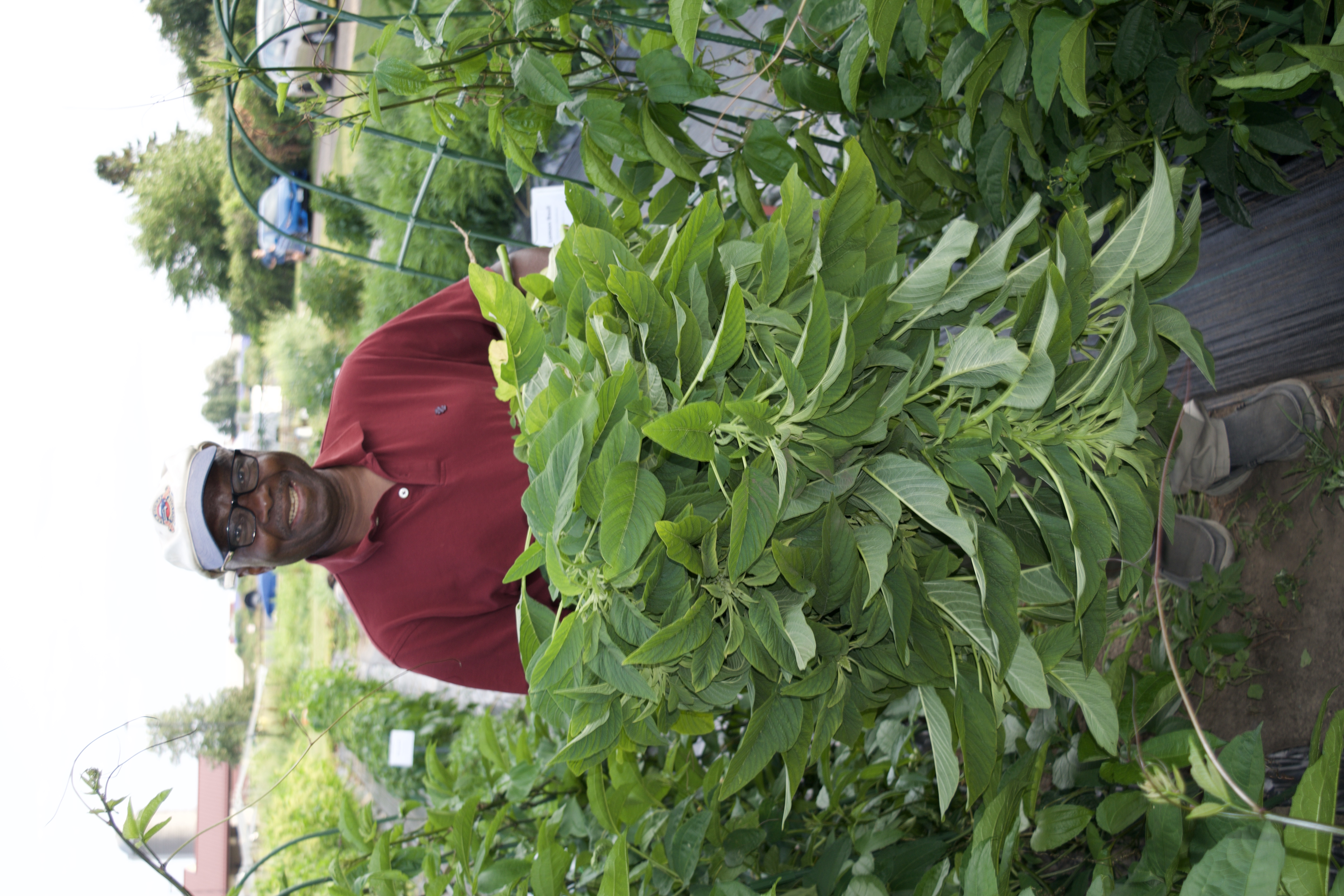 Someone smiling holding bundle of amaranth greens