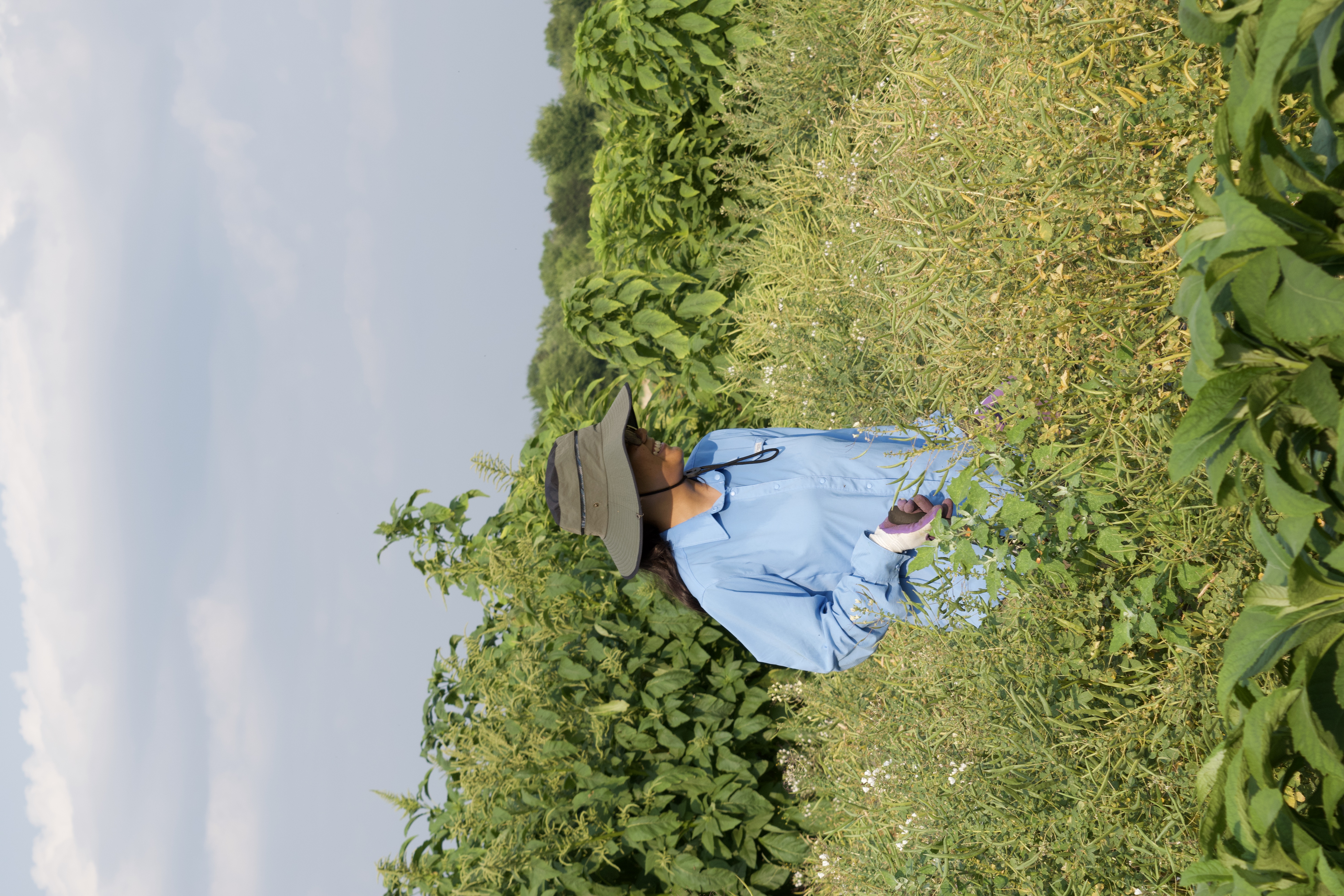 Someone in field