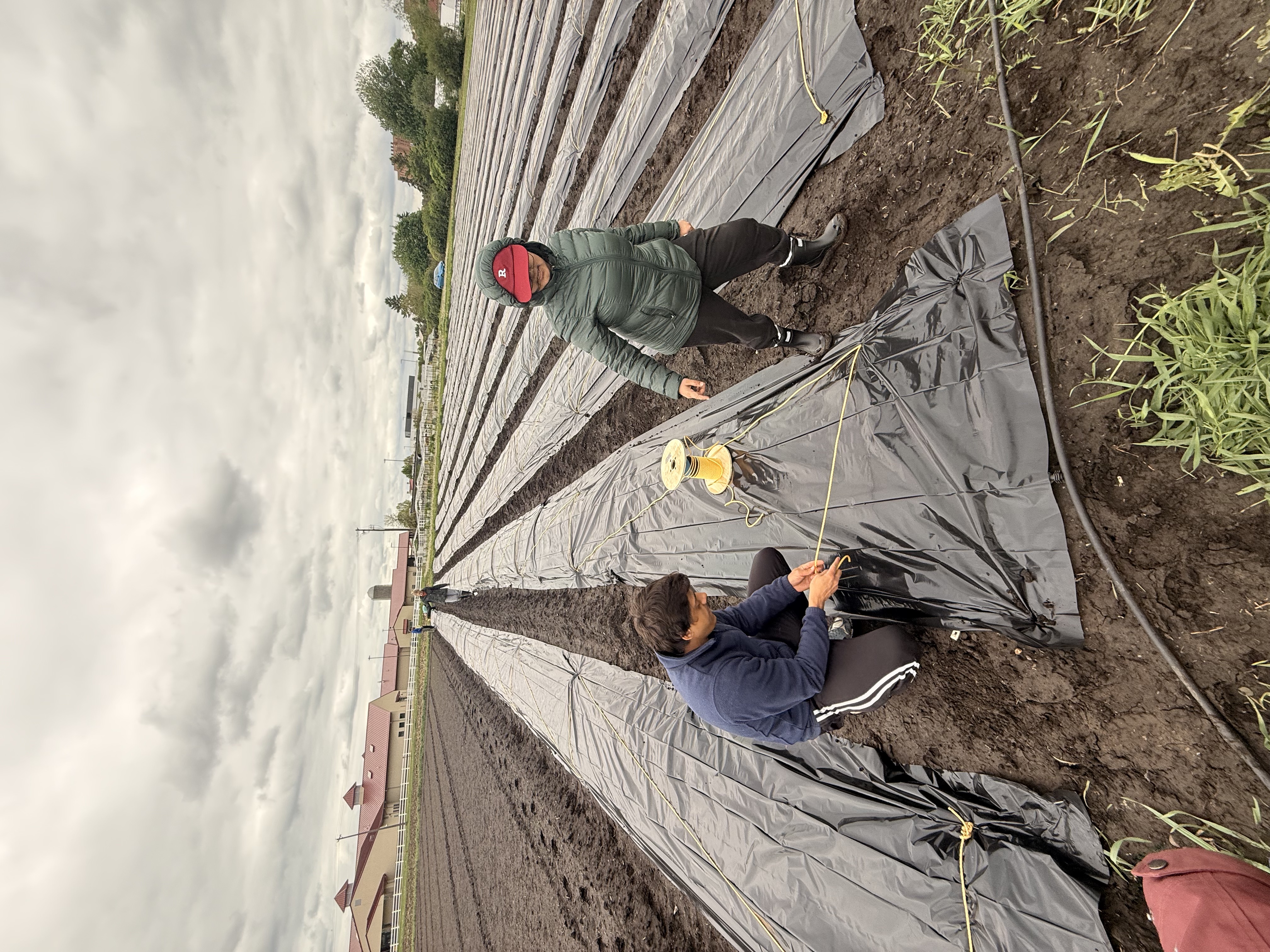 People in field